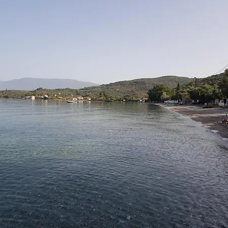 Ammos & Asterias Family