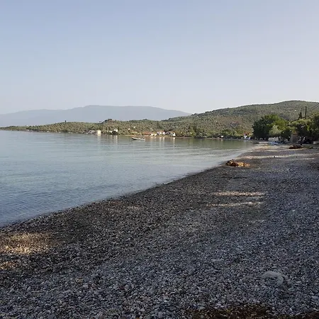 Ammos & Asterias Family * Kálamos