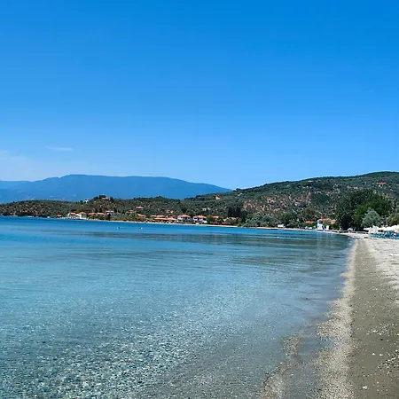 Ammos & Asterias Family *