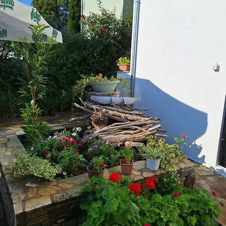 Ammos & Asterias Family